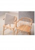 Abiah Arm Chair 